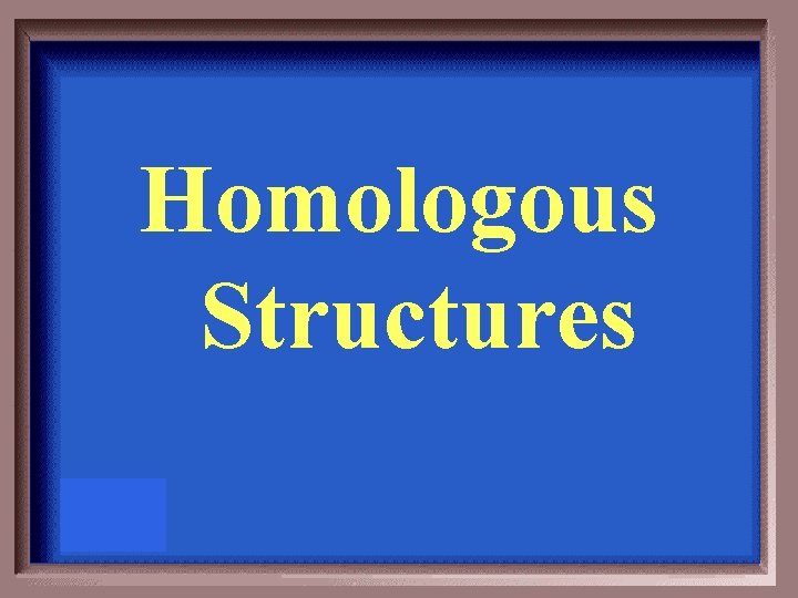 Homologous Structures 