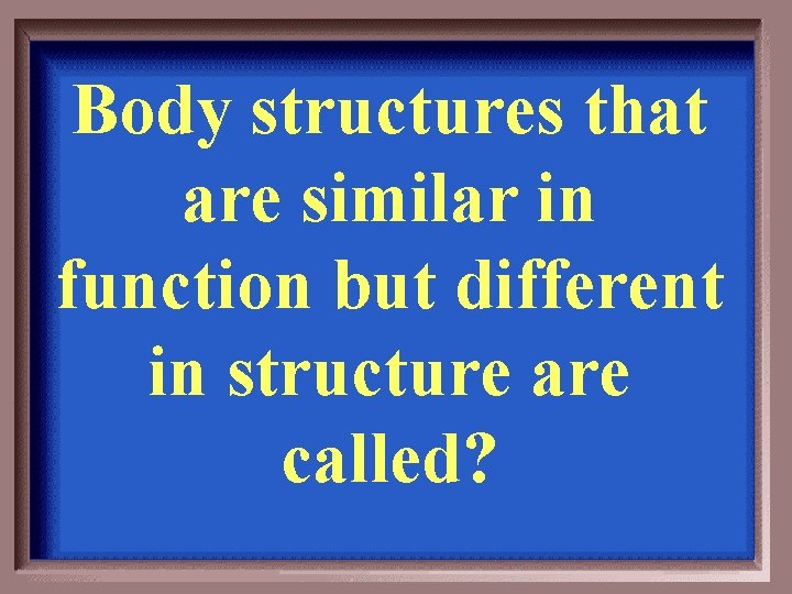 Body structures that are similar in function but different in structure are called? 