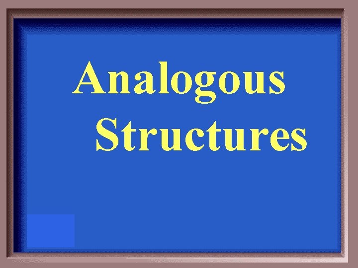 Analogous Structures 