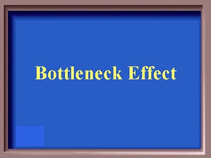 Bottleneck Effect 