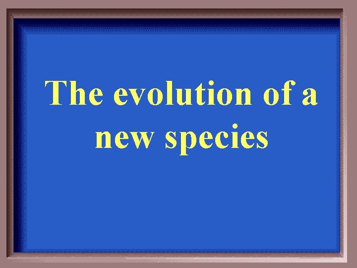 The evolution of a new species 