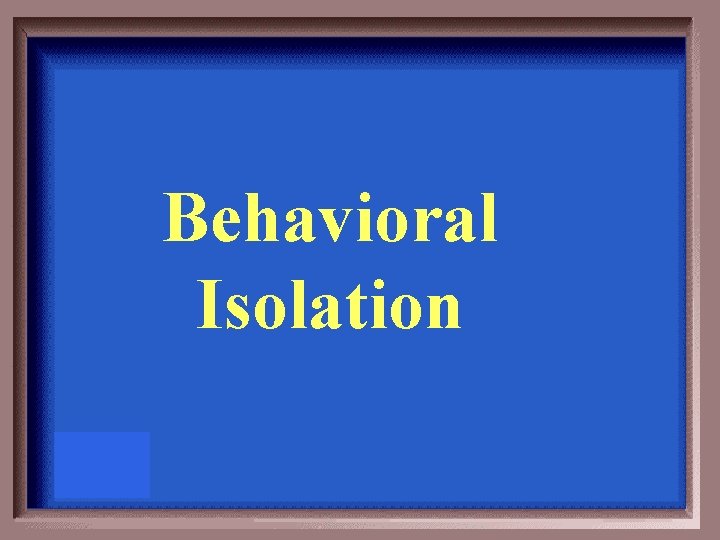 Behavioral Isolation 