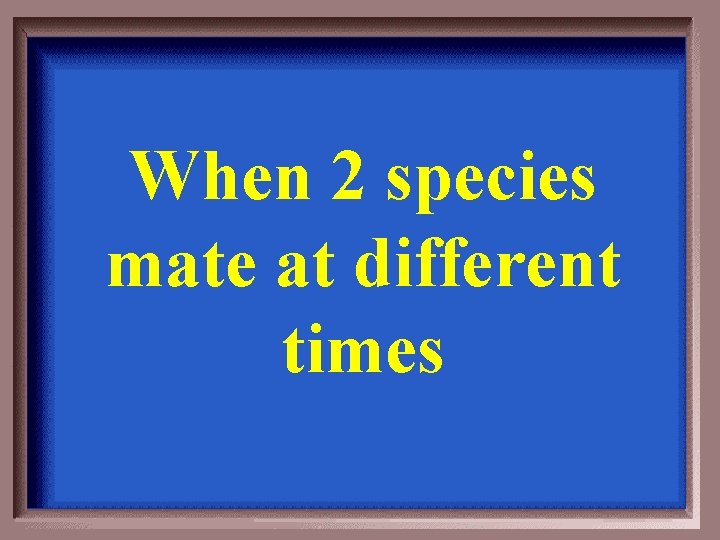 When 2 species mate at different times 
