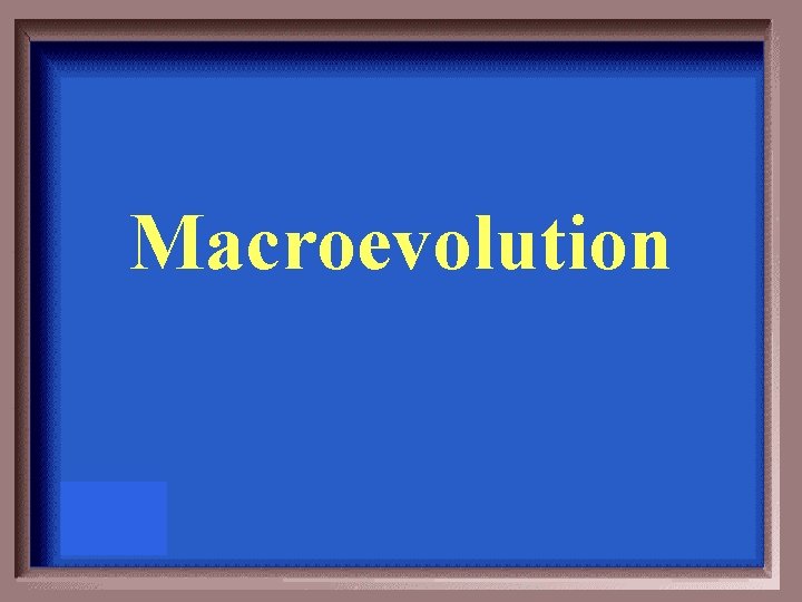 Macroevolution 