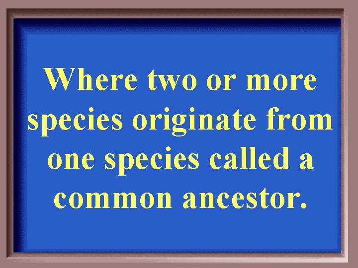 Where two or more species originate from one species called a common ancestor. 