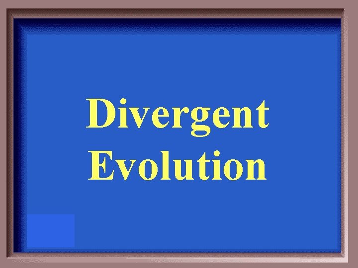 Divergent Evolution 