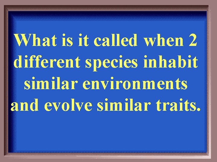 What is it called when 2 different species inhabit similar environments and evolve similar