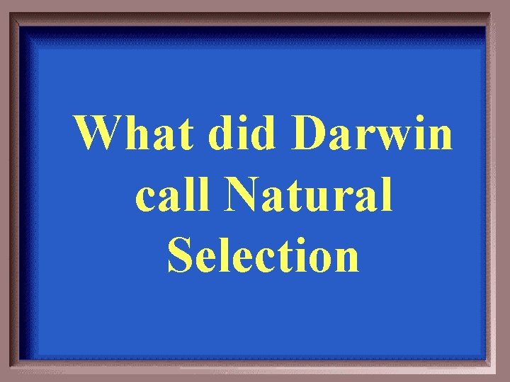 What did Darwin call Natural Selection 