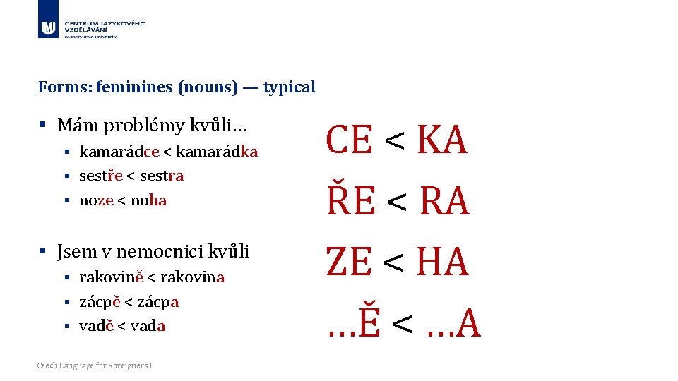 Forms: feminines (nouns) — typical § Mám problémy kvůli… kamarádce < kamarádka § sestře