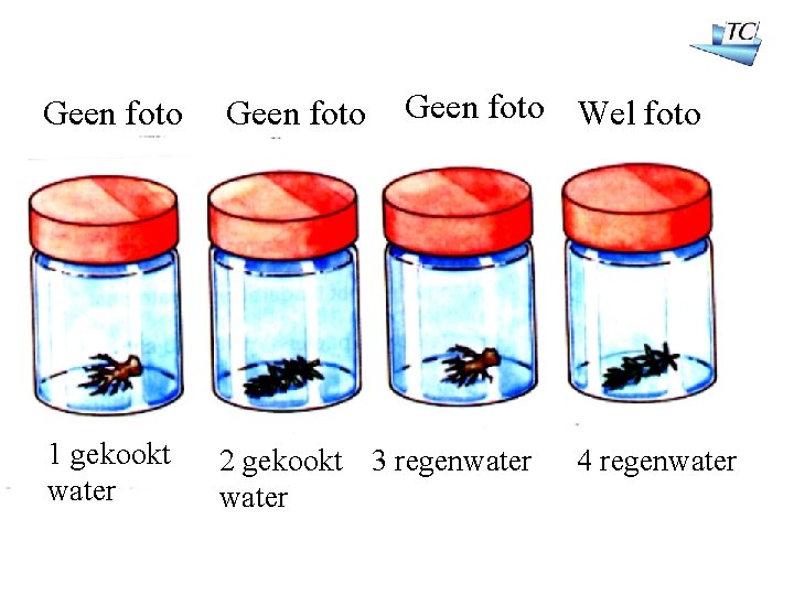 Geen foto Wel foto Geen foto 1 gekookt water 2 gekookt 3 regenwater 4