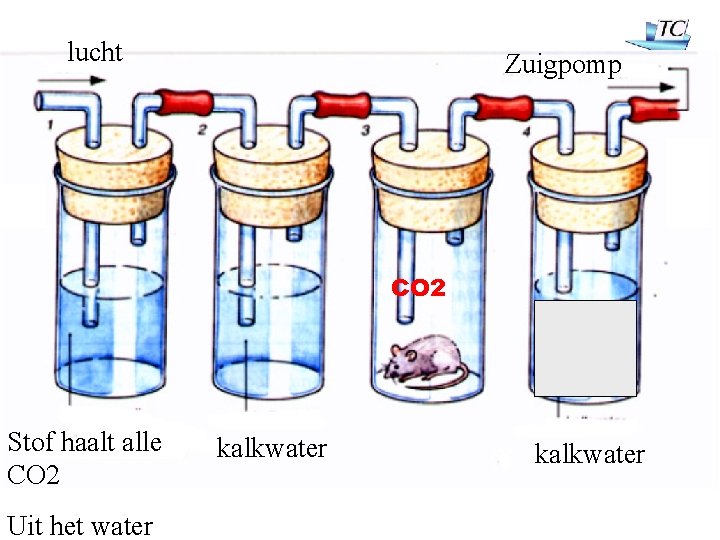 lucht Zuigpomp CO 2 Stof haalt alle CO 2 Uit het water kalkwater 