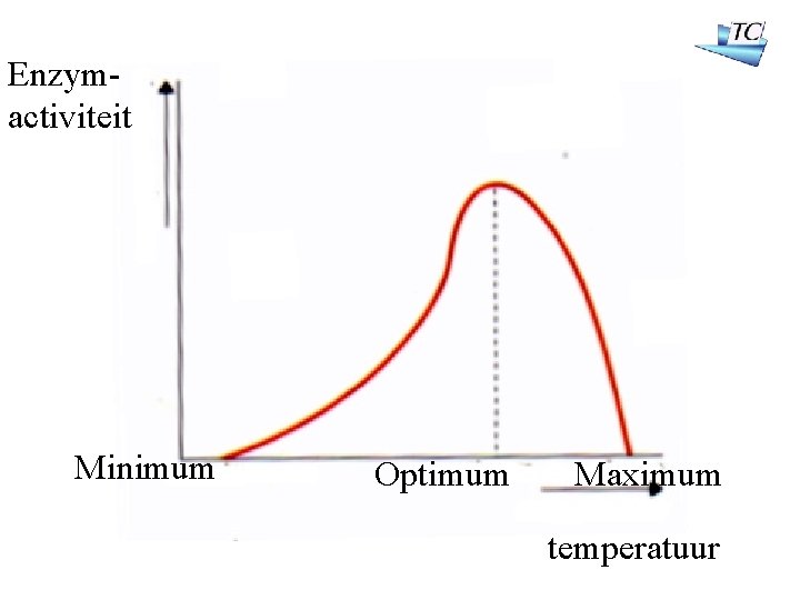 Enzymactiviteit Minimum Optimum Maximum temperatuur 