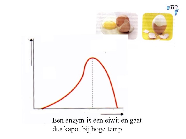 Een enzym is een eiwit en gaat dus kapot bij hoge temp 