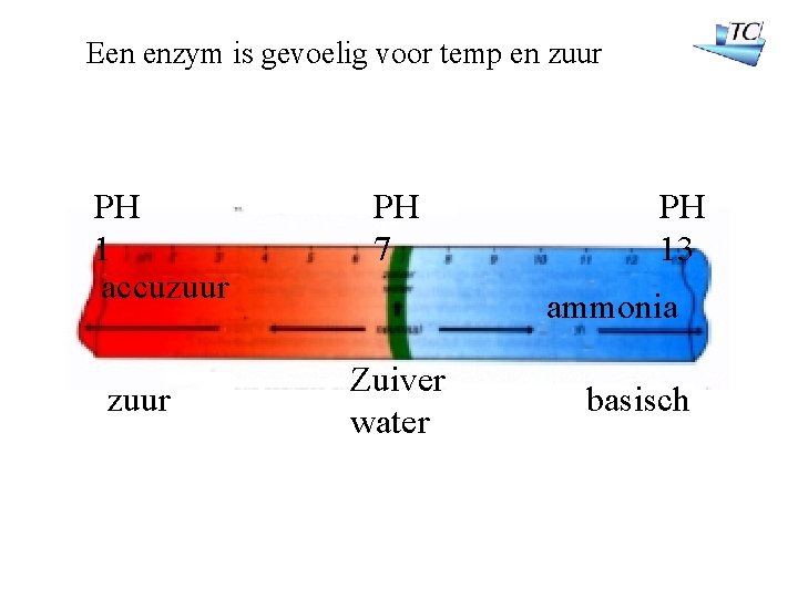 Een enzym is gevoelig voor temp en zuur PH 1 accuzuur PH 7 PH