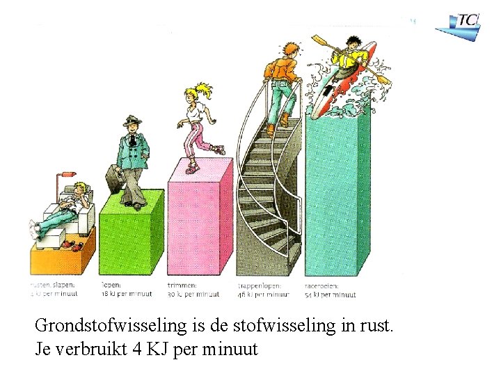 Grondstofwisseling is de stofwisseling in rust. Je verbruikt 4 KJ per minuut 