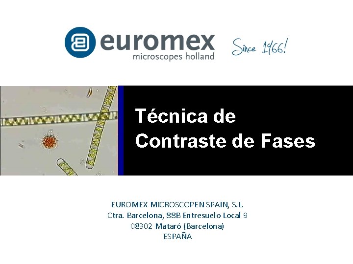 Técnica de Contraste de Fases EUROMEX MICROSCOPEN SPAIN, S. L. Ctra. Barcelona, 88 B
