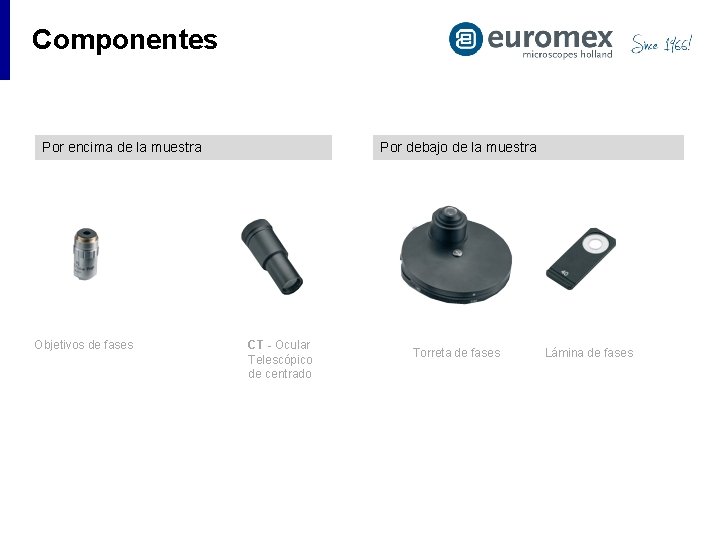 Componentes Por encima de la muestra Objetivos de fases Por debajo de la muestra