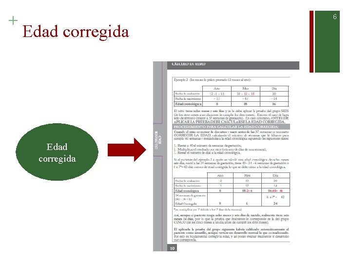 + 6 Edad corregida 