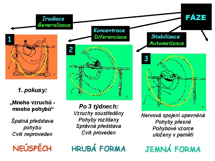 FÁZE Iradiace Generalizace Koncentrace Diferenciace 1 2 Stabilizace Automatizace 3 1. pokusy: „Mnoho vzruchů