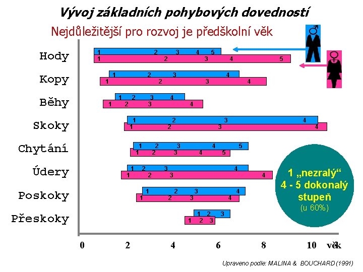 Vývoj základních pohybových dovedností Nejdůležitější pro rozvoj je předškolní věk 1 1 Hody Kopy