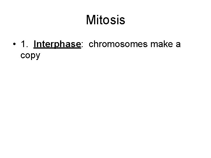 Mitosis • 1. Interphase: chromosomes make a copy 