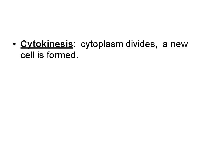  • Cytokinesis: cytoplasm divides, a new cell is formed. 