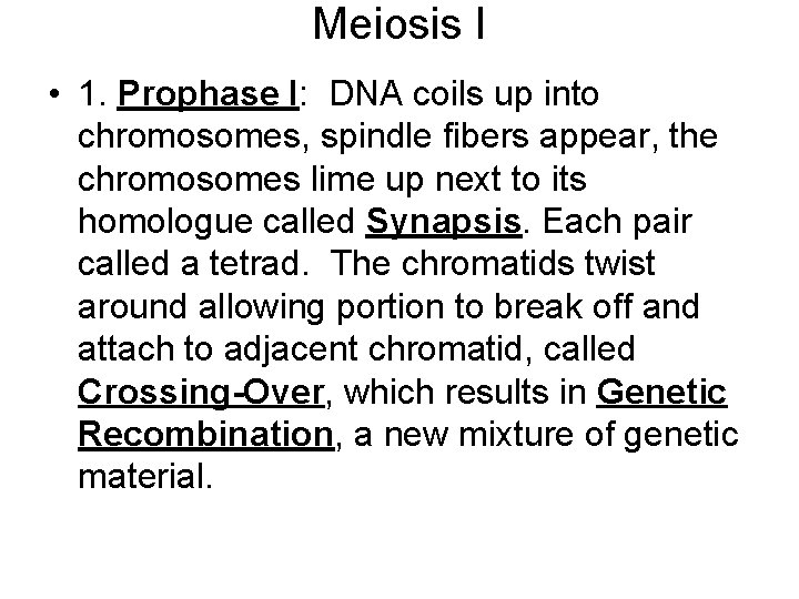 Meiosis I • 1. Prophase I: DNA coils up into chromosomes, spindle fibers appear,