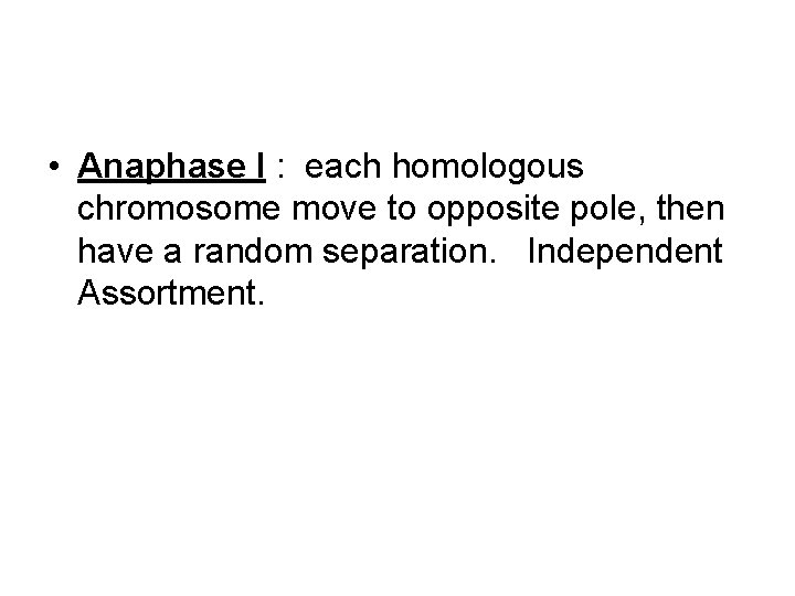  • Anaphase I : each homologous chromosome move to opposite pole, then have