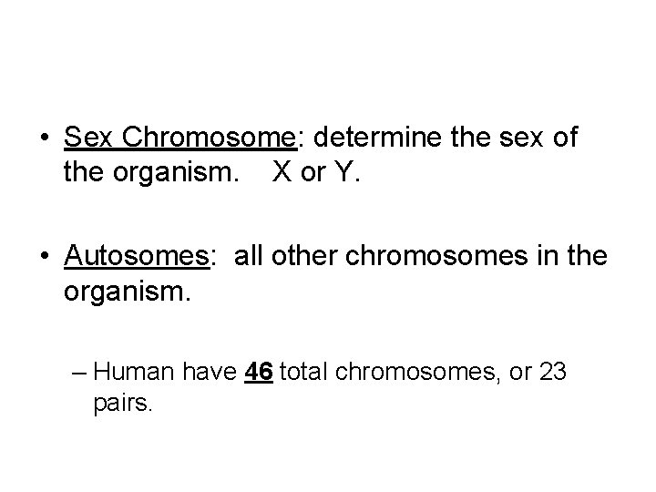  • Sex Chromosome: determine the sex of the organism. X or Y. •