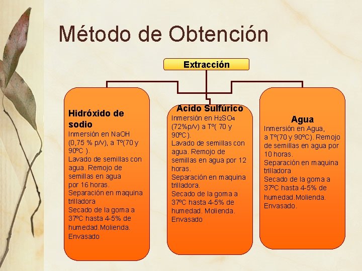 Método de Obtención Extracción Hidróxido de sodio Inmersión en Na. OH (0, 75 %