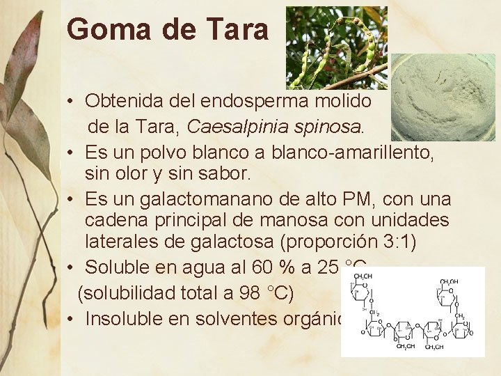 Goma de Tara • Obtenida del endosperma molido de la Tara, Caesalpinia spinosa. •