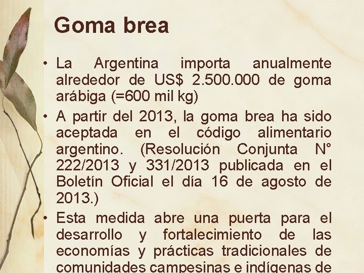 Goma brea • La Argentina importa anualmente alrededor de US$ 2. 500. 000 de