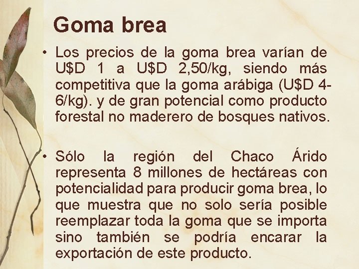 Goma brea • Los precios de la goma brea varían de U$D 1 a