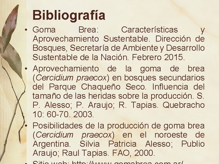 Bibliografía • Goma Brea: Características y Aprovechamiento Sustentable. Dirección de Bosques, Secretaría de Ambiente