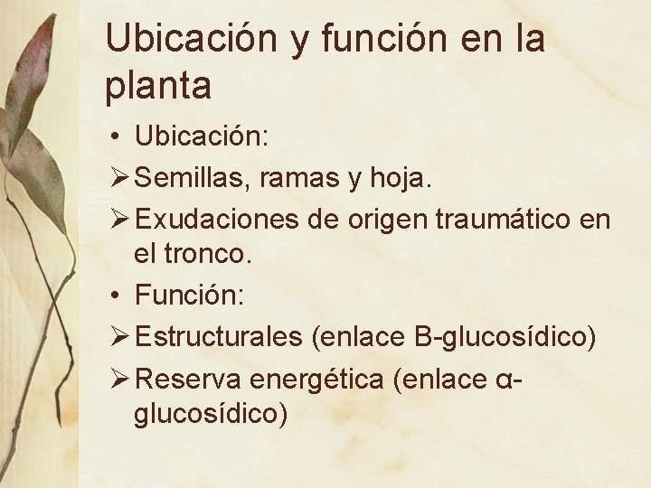 Ubicación y función en la planta • Ubicación: Ø Semillas, ramas y hoja. Ø