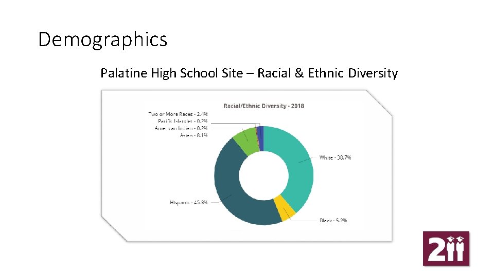 Demographics Palatine High School Site – Racial & Ethnic Diversity 