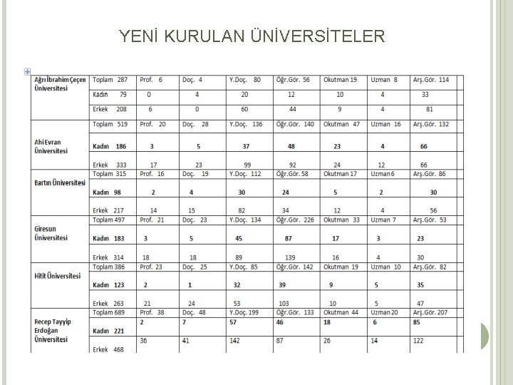 YENİ KURULAN ÜNİVERSİTELER 