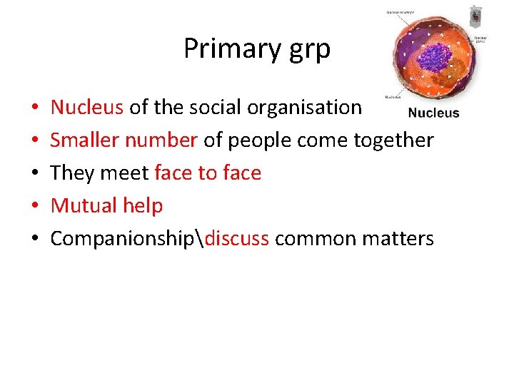Primary grp • • • Nucleus of the social organisation Smaller number of people