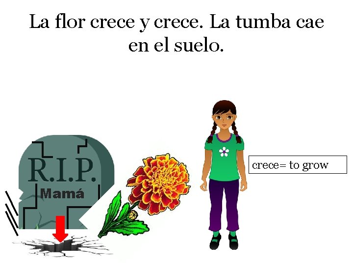 La flor crece y crece. La tumba cae en el suelo. crece= to grow