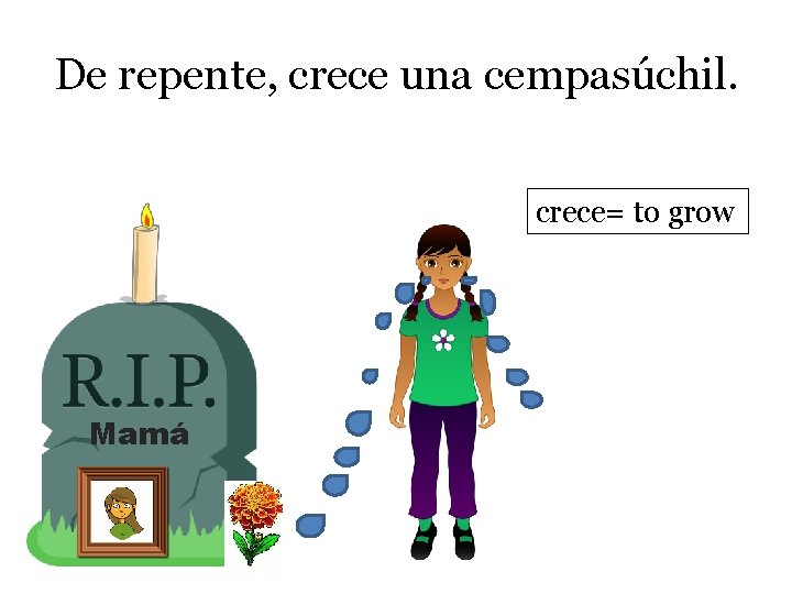 De repente, crece una cempasúchil. crece= to grow Mamá 