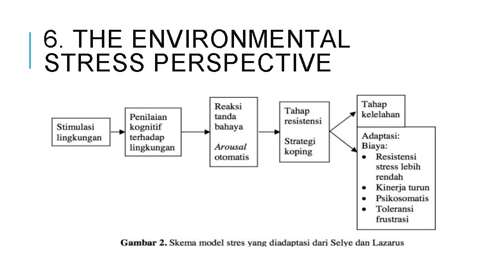 6. THE ENVIRONMENTAL STRESS PERSPECTIVE 