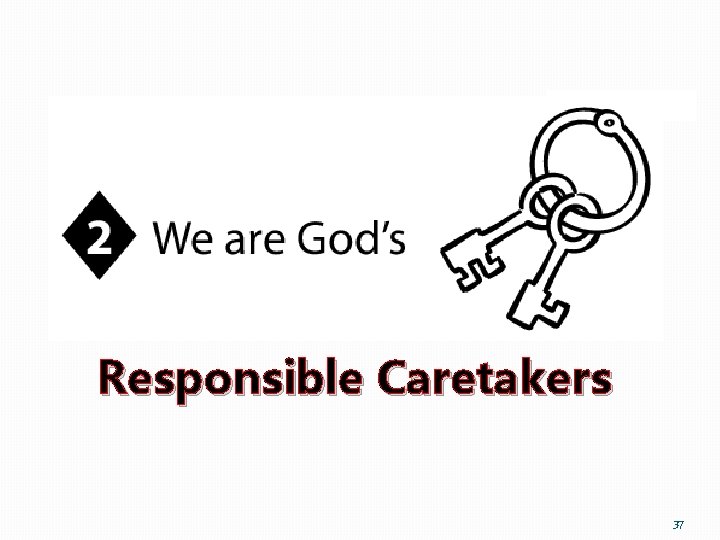 Responsible Caretakers 37 