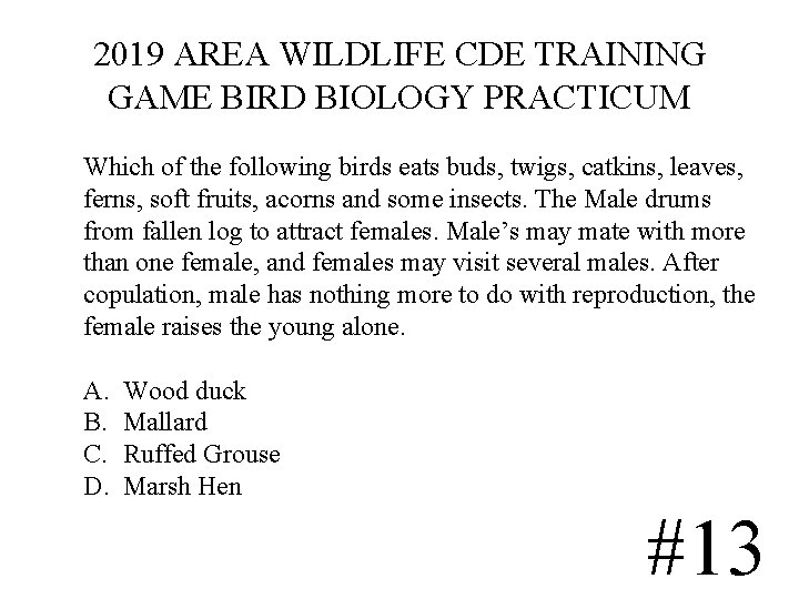 2019 AREA WILDLIFE CDE TRAINING GAME BIRD BIOLOGY PRACTICUM Which of the following birds 2019 AREA WILDLIFE CDE TRAINING GAME BIRD BIOLOGY PRACTICUM Which of the following birds
