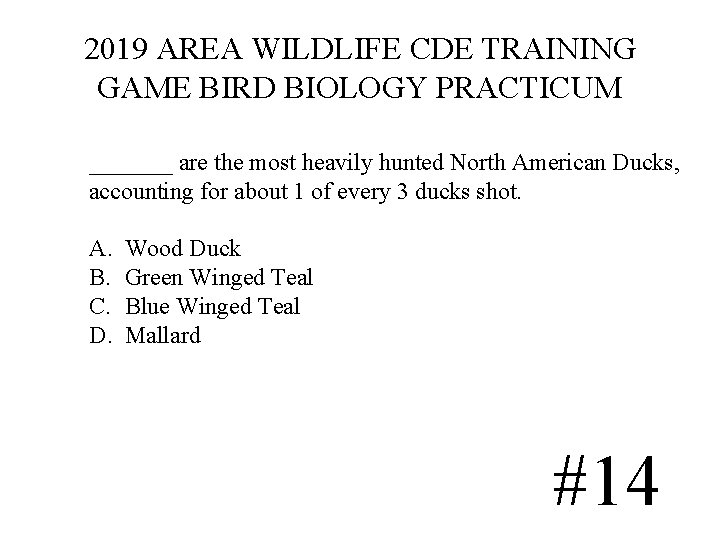 2019 AREA WILDLIFE CDE TRAINING GAME BIRD BIOLOGY PRACTICUM _______ are the most heavily 2019 AREA WILDLIFE CDE TRAINING GAME BIRD BIOLOGY PRACTICUM _______ are the most heavily
