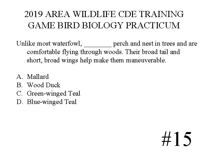 2019 AREA WILDLIFE CDE TRAINING GAME BIRD BIOLOGY PRACTICUM Unlike most waterfowl, ____ perch 2019 AREA WILDLIFE CDE TRAINING GAME BIRD BIOLOGY PRACTICUM Unlike most waterfowl, ____ perch
