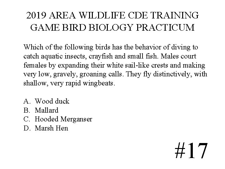 2019 AREA WILDLIFE CDE TRAINING GAME BIRD BIOLOGY PRACTICUM Which of the following birds 2019 AREA WILDLIFE CDE TRAINING GAME BIRD BIOLOGY PRACTICUM Which of the following birds