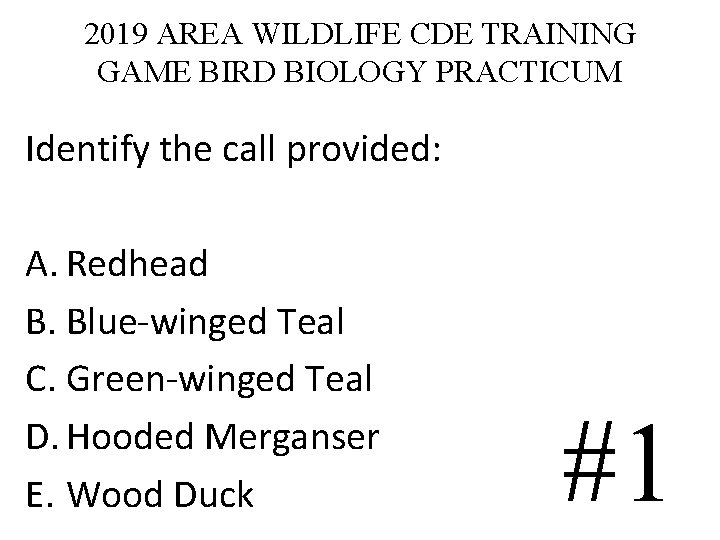 2019 AREA WILDLIFE CDE TRAINING GAME BIRD BIOLOGY PRACTICUM Identify the call provided: A. 2019 AREA WILDLIFE CDE TRAINING GAME BIRD BIOLOGY PRACTICUM Identify the call provided: A.