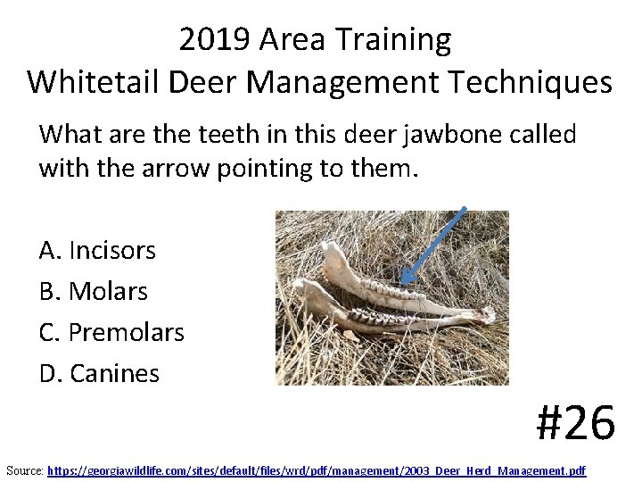 2019 Area Training Whitetail Deer Management Techniques What are the teeth in this deer 2019 Area Training Whitetail Deer Management Techniques What are the teeth in this deer