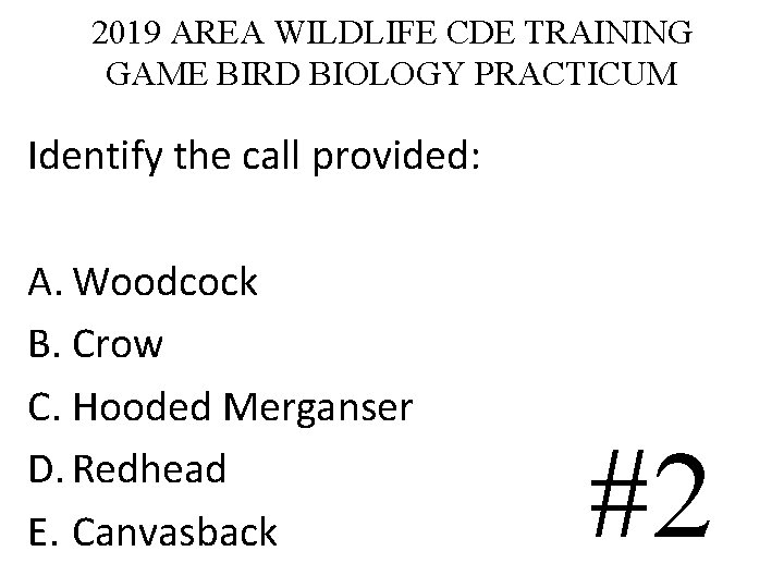 2019 AREA WILDLIFE CDE TRAINING GAME BIRD BIOLOGY PRACTICUM Identify the call provided: A. 2019 AREA WILDLIFE CDE TRAINING GAME BIRD BIOLOGY PRACTICUM Identify the call provided: A.