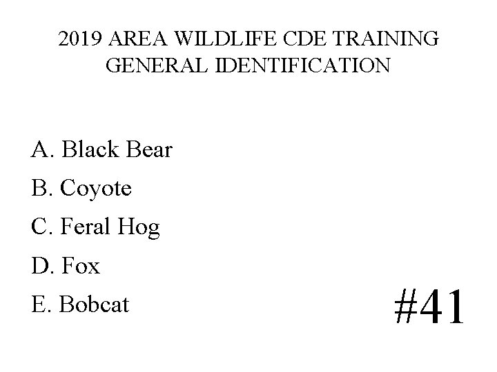 2019 AREA WILDLIFE CDE TRAINING GENERAL IDENTIFICATION A. Black Bear B. Coyote C. Feral 2019 AREA WILDLIFE CDE TRAINING GENERAL IDENTIFICATION A. Black Bear B. Coyote C. Feral